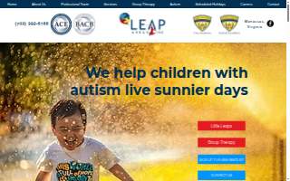 Leap Ahead Inc
