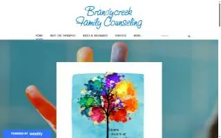 Brandycreek Family Counseling website