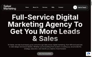 Salsal Digital Marketing website