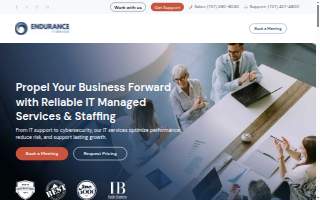 Endurance IT Services website