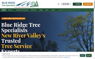 Blue Ridge Tree Specialists
