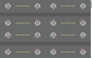 Pedro Sauer Academy of Self-Defense