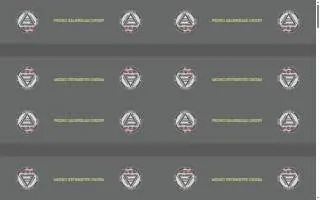 Pedro Sauer Academy of Self-Defense website
