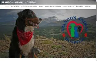 Brandon Animal Hospital of Roanoke website