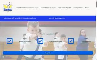 Super Kicks Karate of Roanoke website