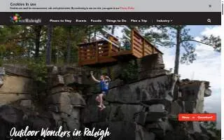 Cary Street Partners of Stafford website
