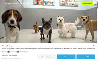 Healthy Hound Playground & Grooming