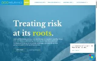 ACO Insurance of Tysons website