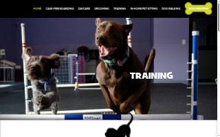 Affectionate Pet Care of Vienna