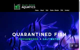 Blue Ridge Aquatics website