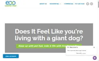 Eco Carpet Pro website
