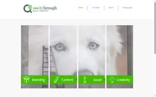 See It Through Media Strategy website