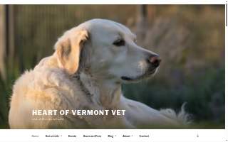 Heart of Vermont Vet: At-Home End-of-Life Care for Pets