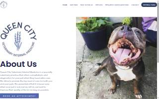 Queen City Veterinary Internal Medicine