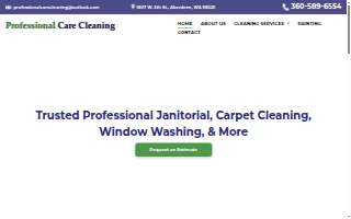 Professional Care Cleaning
