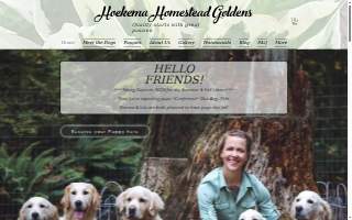 Hoekema Homestead Goldens