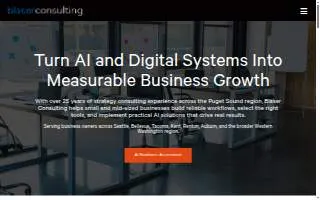 Blaser Consulting website