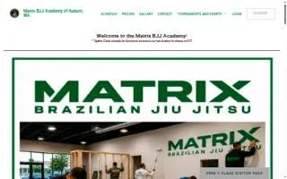 Matrix BJJ Academy - Brazilian Jiu Jitsu website