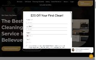 Bellevue Clean website
