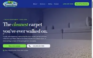 Dry Connection Carpet Cleaning website