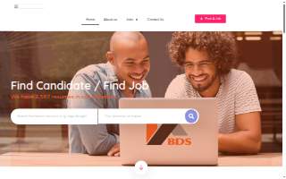 BDS JOB LLC