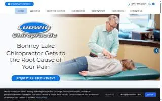 Ludwig Chiropractic website
