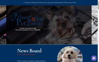 Blue Collar Pet Salon