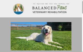 Balanced Paws Veterinary Rehabilitation