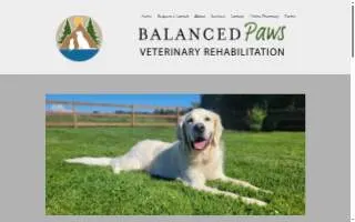 Balanced Paws Veterinary Rehabilitation website