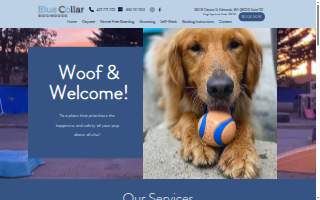 Blue Collar Doghouse website