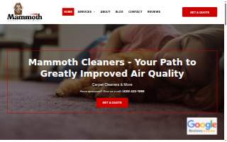 Mammoth Cleaners Inc of Edmonds