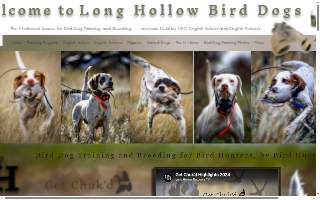Long Hollow Bird Dogs
