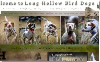 Long Hollow Bird Dogs website