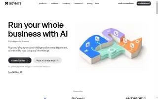 Skynet Innovations website