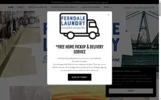 Ferndale Laundry website