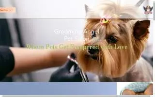Grooming Angel Pet Salon of Graham website