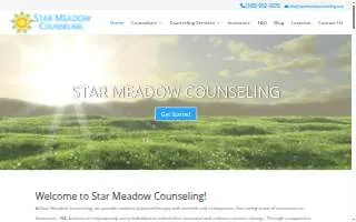 Star Meadow Counseling website