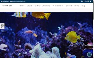 Aquarium Paradise