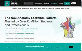 Head Toe Spa website