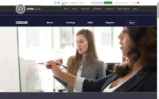 Cedar View Dental website