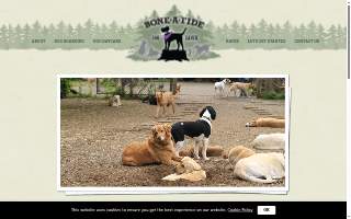 Bone-A-Fide Dog Ranch