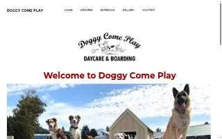 Doggy Come Play: Daycare of Mount Vernon website