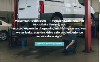 Waterleak Techniques