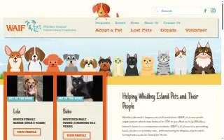 WAIF Thrift Shop website