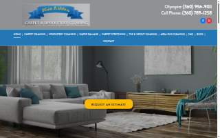 Blue Ribbon Carpet & Upholstery Cleaning