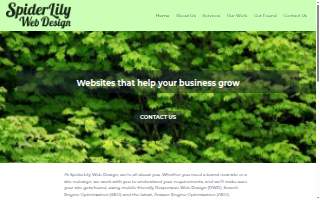 Spiderlily Web Design