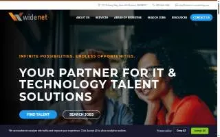 WideNet Consulting Group website