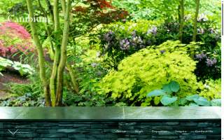 Cambium Landscape