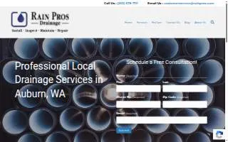 Rain Pros website