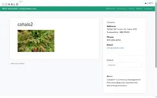 Cohalo website
